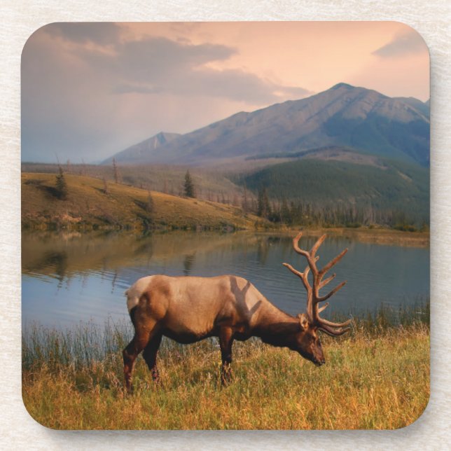 Porta-copo Montanhas | Jacques Mountain Range Alberta Canadá (Frente)