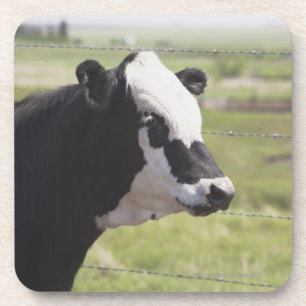 Porta-copo Moseleigh, Alberta, Canadá