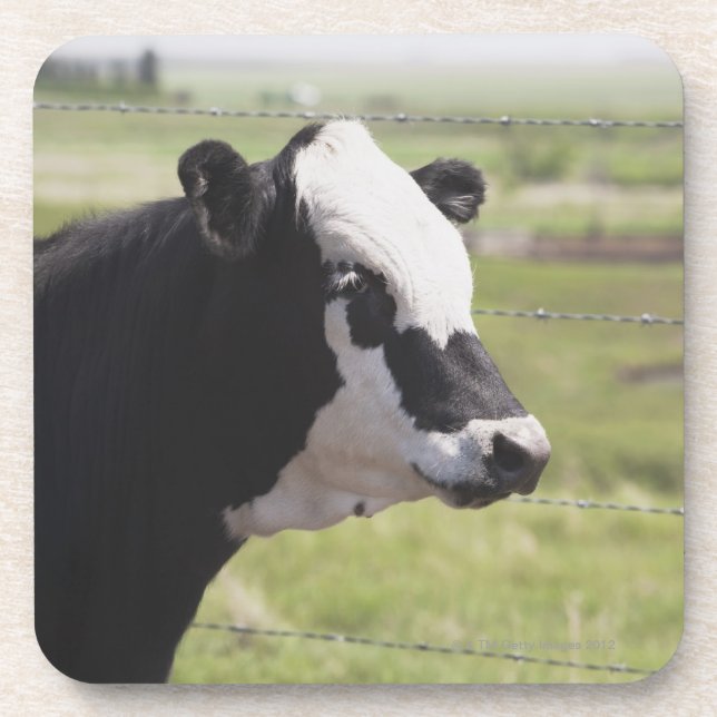 Porta-copo Moseleigh, Alberta, Canadá (Frente)