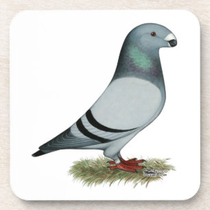 Porta-copo Mostrar conceito de racer