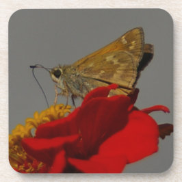 Porta-copo Moth