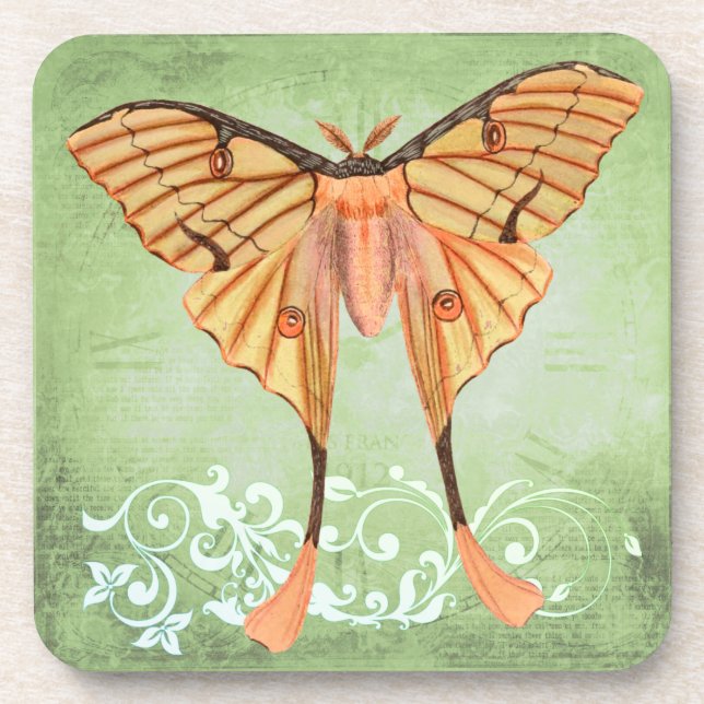 Porta-copo Moth da Seda Africana (Frente)