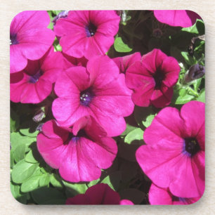 Porta-copo Muitas Petunias Puras