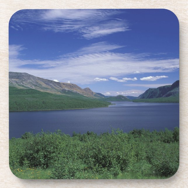 Porta-copo N.A., Canadá, Terra Nova, Truta de Grose Morne (Frente)