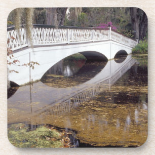 Porta-copo N.A., EUA, Carolina do Sul, Charleston. Magnólia
