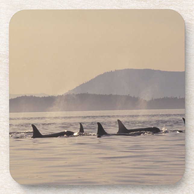 Porta-copo N.A., EUA, Washington, Ilhas San Juan Orca (Frente)