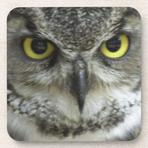 Porta-copo Na Sua Cara Coruja
