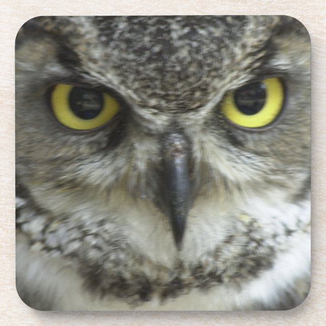 Porta-copo Na Sua Cara Coruja (Frente)