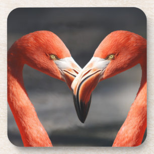 Porta-copo Namorados Flamingo
