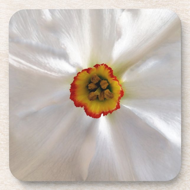 Porta-copo narciso branco pérola (Frente)