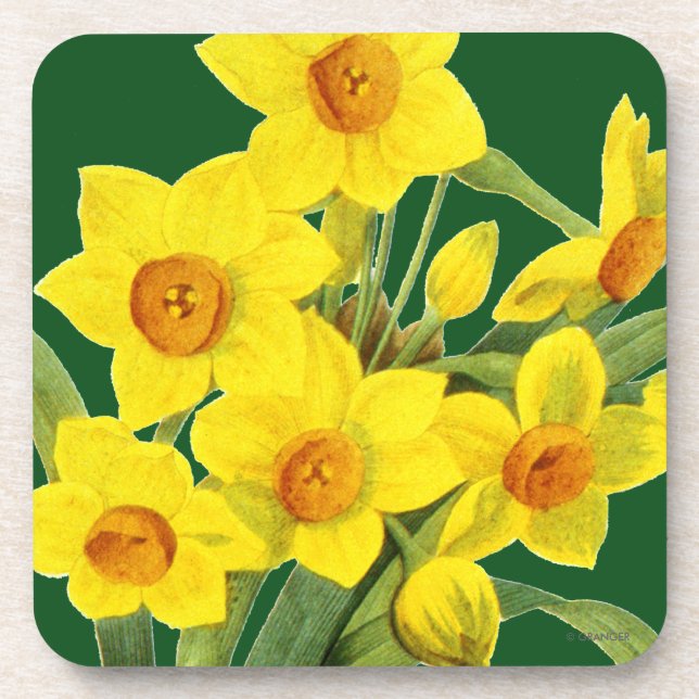 Porta-copo Narciso (N Tazetta) (Frente)