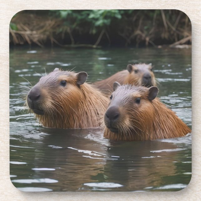 Porta-copo Natação dos capybaras no rio,  (Frente)