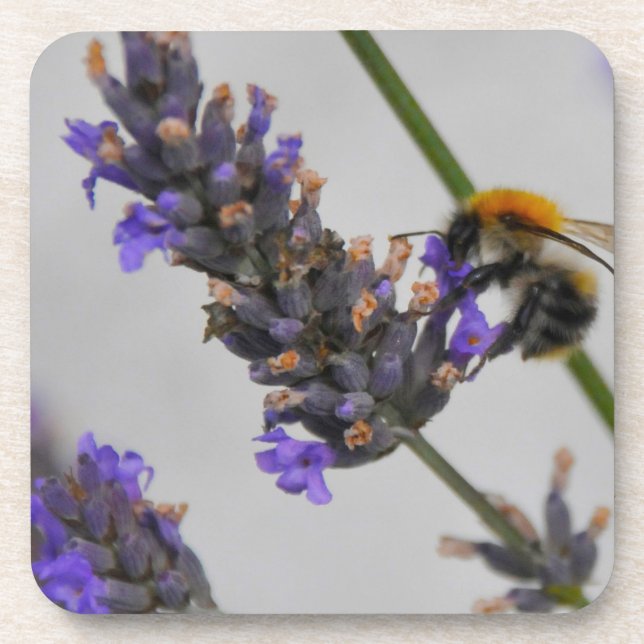 Porta-copo Natures WonMaravilha Workers (Frente)