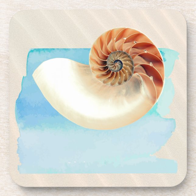 Porta-copo Nautilus Seashell e Sand (Frente)