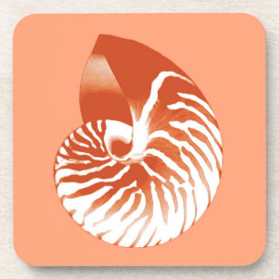 Porta-copo Nautilus shell - terracotta e branco