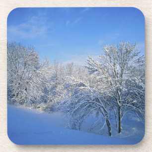 Porta-copo Neve recorde em Louisville, Kentucky.