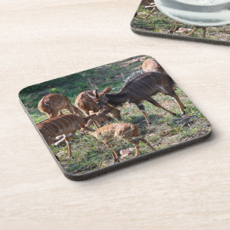 Porta-copo Niala na Natureza – Obra de Arte de Animal African