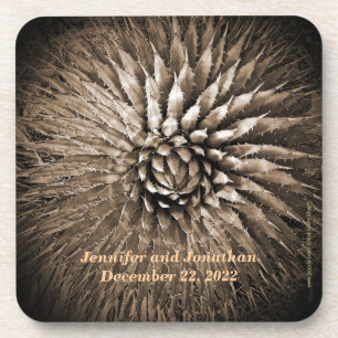 Porta-copo Nome Personalizado Agave Spikes Sepia Tan Brown