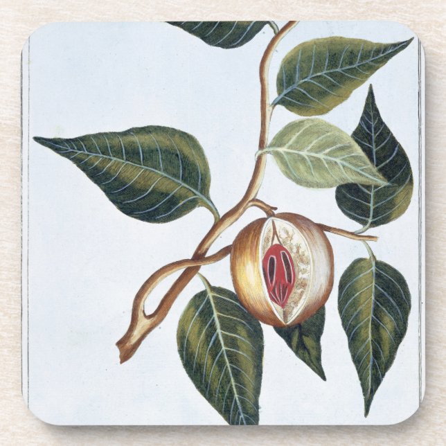 Porta-copo Noz-moscada, placa 7, 'da coleção Precieuse e Enl (Frente)