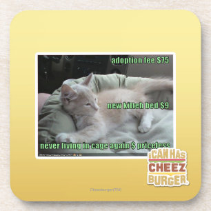 Porta-copo Nunca vivendo em uma gaiola outra vez