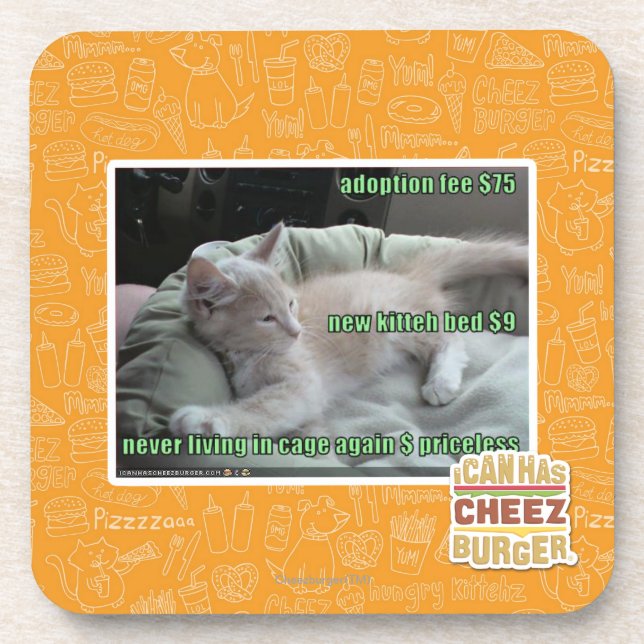 Porta-copo Nunca vivendo em uma gaiola outra vez (Frente)