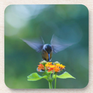Porta-copo O anjo voa o colibri