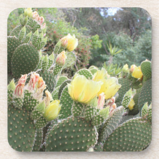 Porta-copo O cacto floresce portas copos