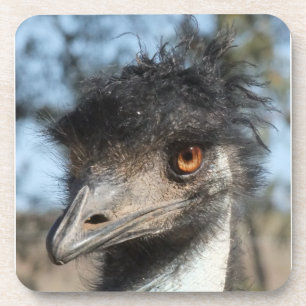 Porta-copo O Emu