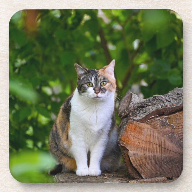 Porta-copo O Gato    (Frente)