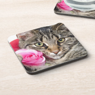 Porta-copo O gato de gato malhado bonito com aumentou