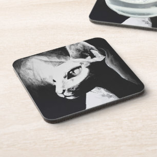 Porta-copo O Gato Sphynx Sem Pelo Preto & Branco Arte