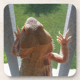 Porta-copo O impressão farpado o mais bonito da foto do