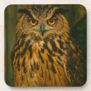 Porta-copo O Observador - Eurasian Eagle-Owl na Luz do Woodla