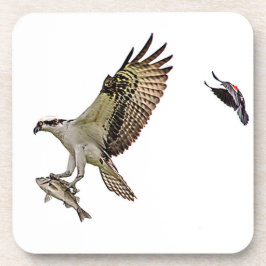 Porta-copo O Osprey que está sendo perseguido por um vermelho