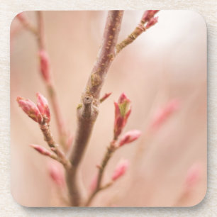 Porta-copo O primavera sonha portas copos da cortiça