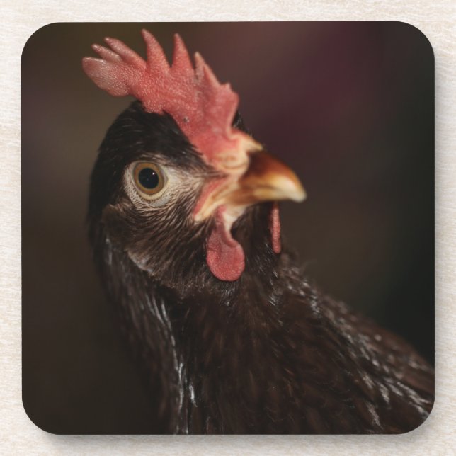 Porta-copo O quê? (Frente)