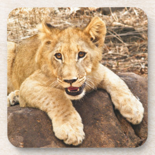 Porta-copo O tigre Cub toma o respiradouro em uma rocha