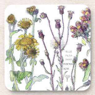 Porta-copo O Wildflower botânico de Spikenard floresce a