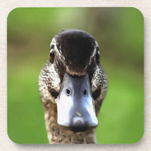 Porta-copo Olá Ducky Quirky Duck Portrait