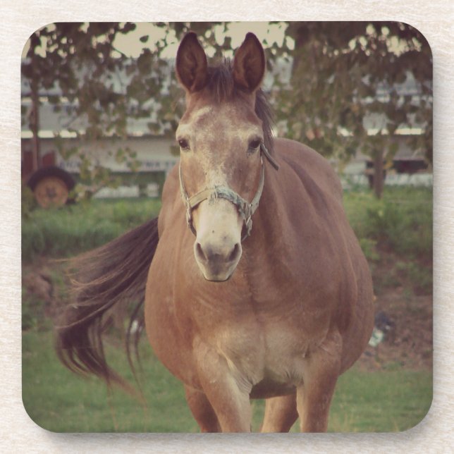 Porta-copo Olá, vejo-te (Frente)