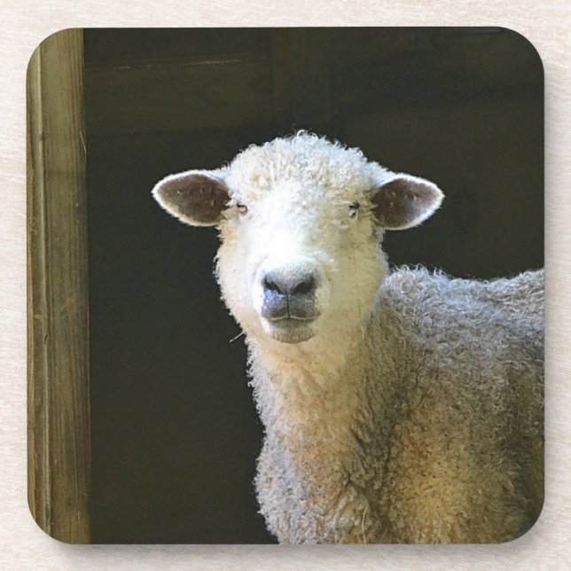 Porta-copo Ole Sheep Doce (Frente)