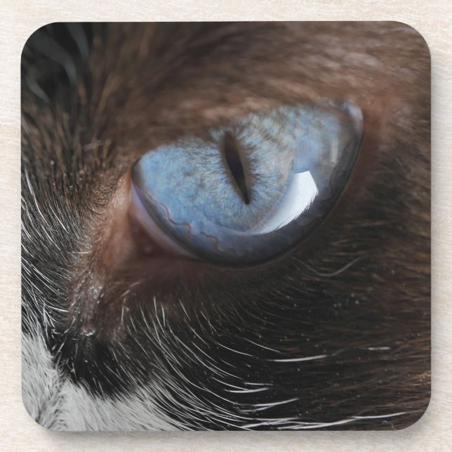 Porta-copo Olho de Gato.JPG (Frente)