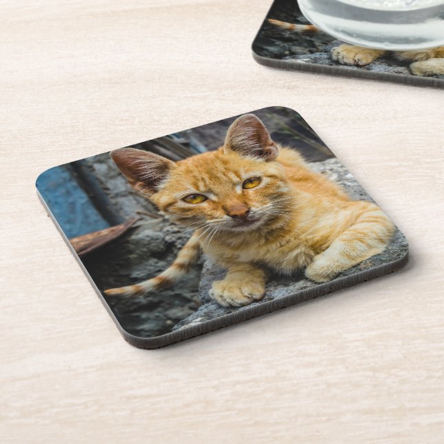 Porta-copo Olhos de ouro (Left Side)