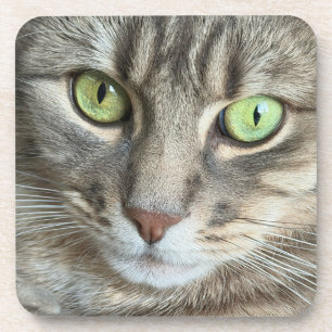 Porta-copo Olhos Esmeralda – Retrato de um Gato de Olhos Verd