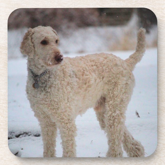 Porta-copo Ollie (Frente)