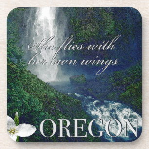 Porta-copo Oregon Waterfall Poster