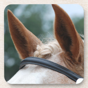 Porta-copo orelhas de cavalo