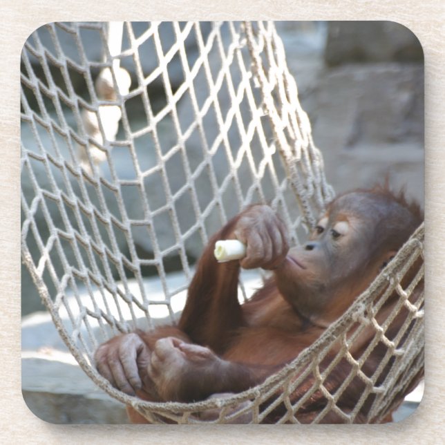 Porta-copo Oring-Utan (Frente)