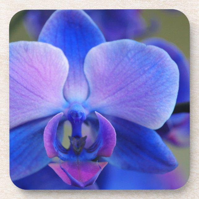 Porta-copo Orquídea Azul e Rosa (Frente)