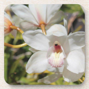 Porta-copo Orquídeas